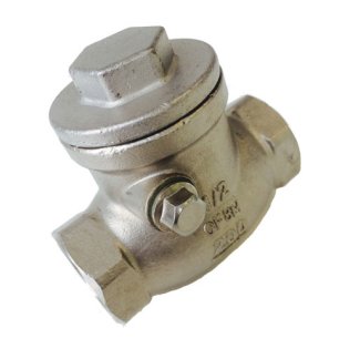 SWING CHECK VALVE 100MM (4") BSP SS316