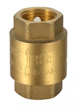 Spring Check Valve