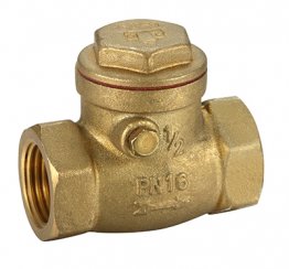 SWING CHECK VALVE 50MM (2") BRASS
